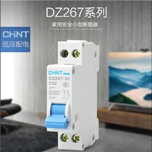 正泰(CHNT) 斷路器 空氣開關(guān) 家用空開 1P+N 雙進(jìn)雙出 32A C型 DZ267